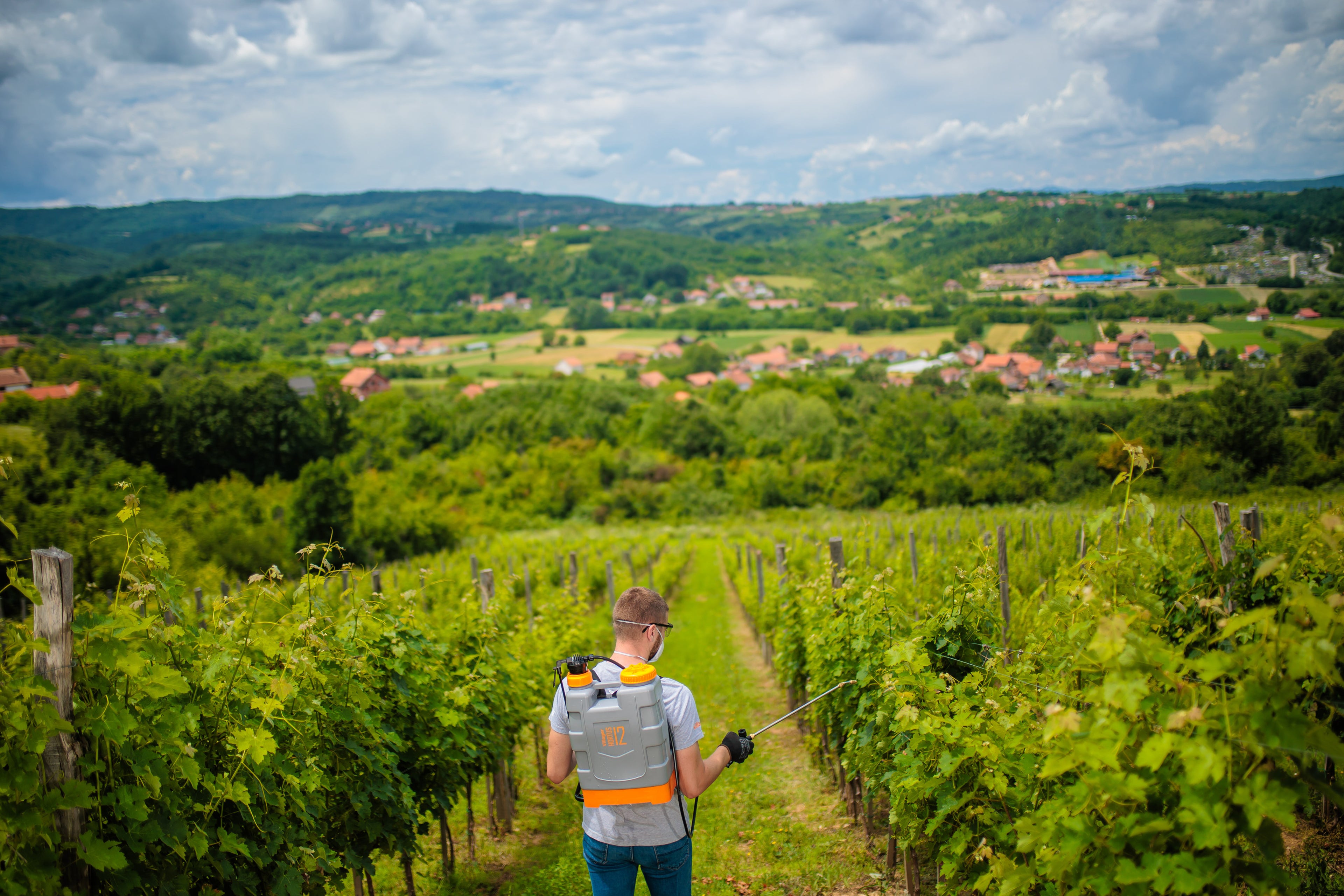 Hortus 12L backpack sprayer