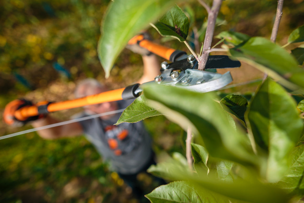 LS 109 telescopic loppers