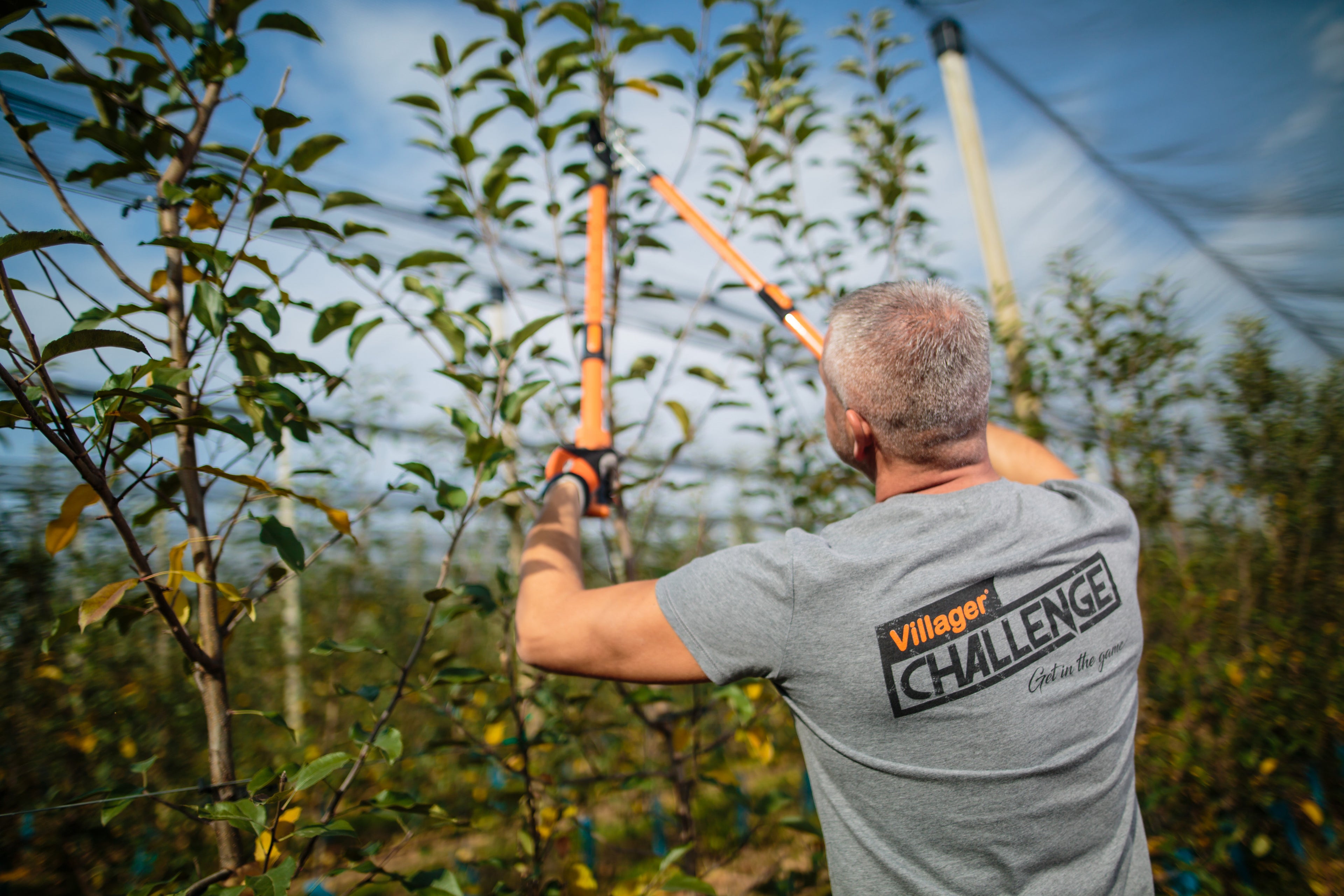 LS 109 telescopic loppers