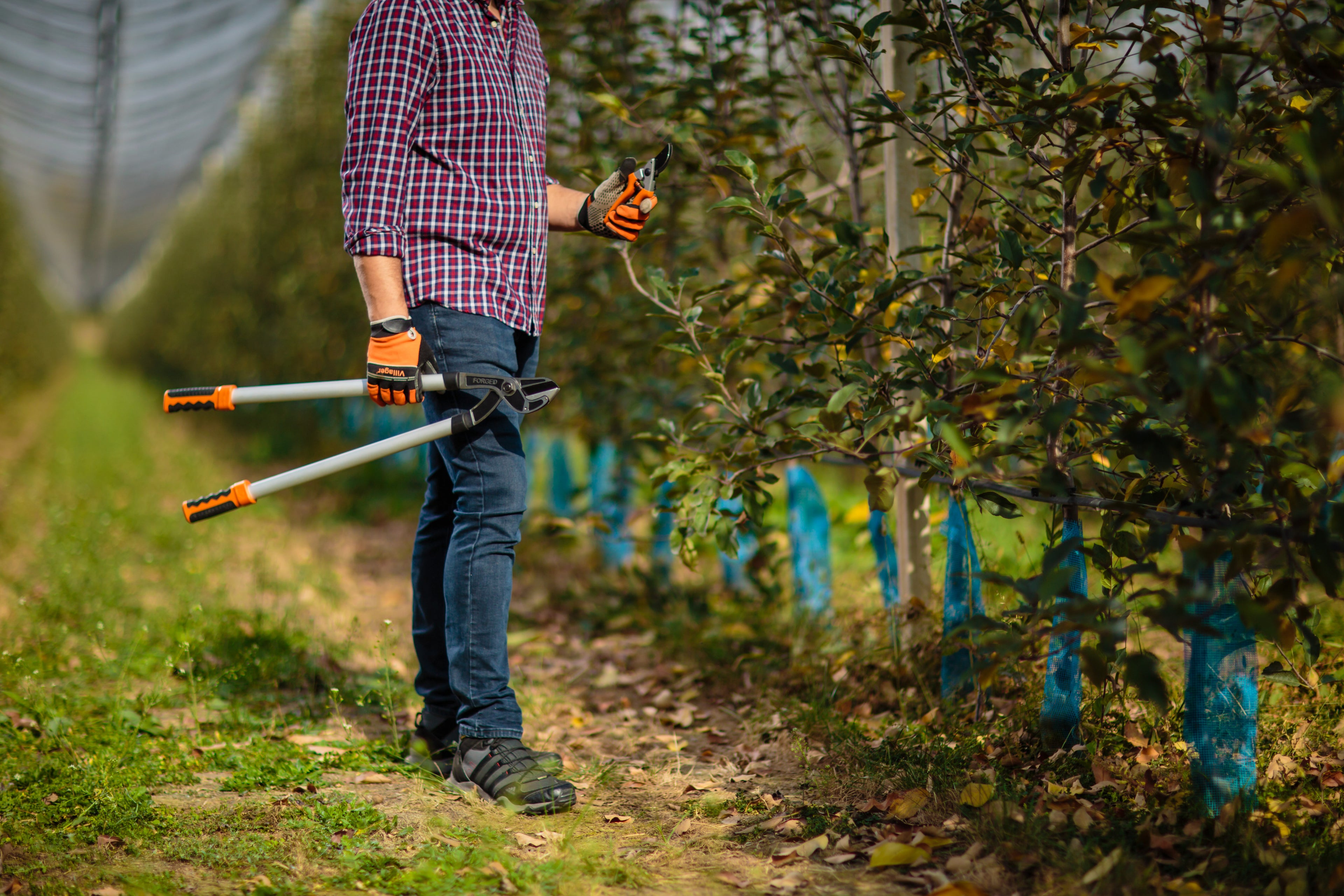 LS 127 professional lopper