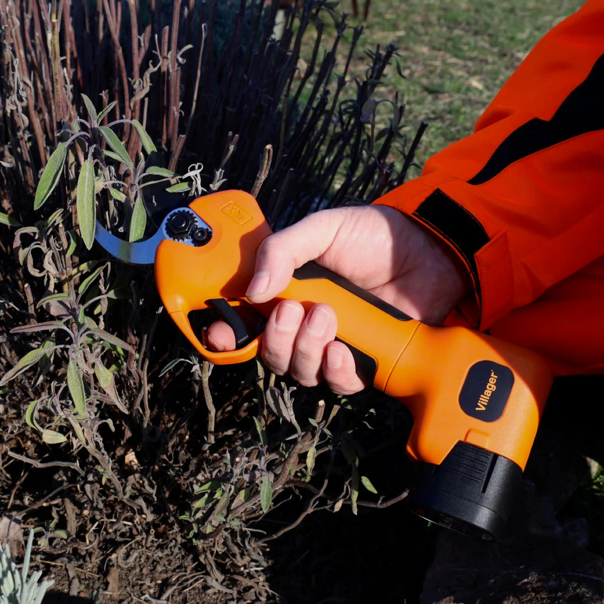VBP 30 cordless garden shear