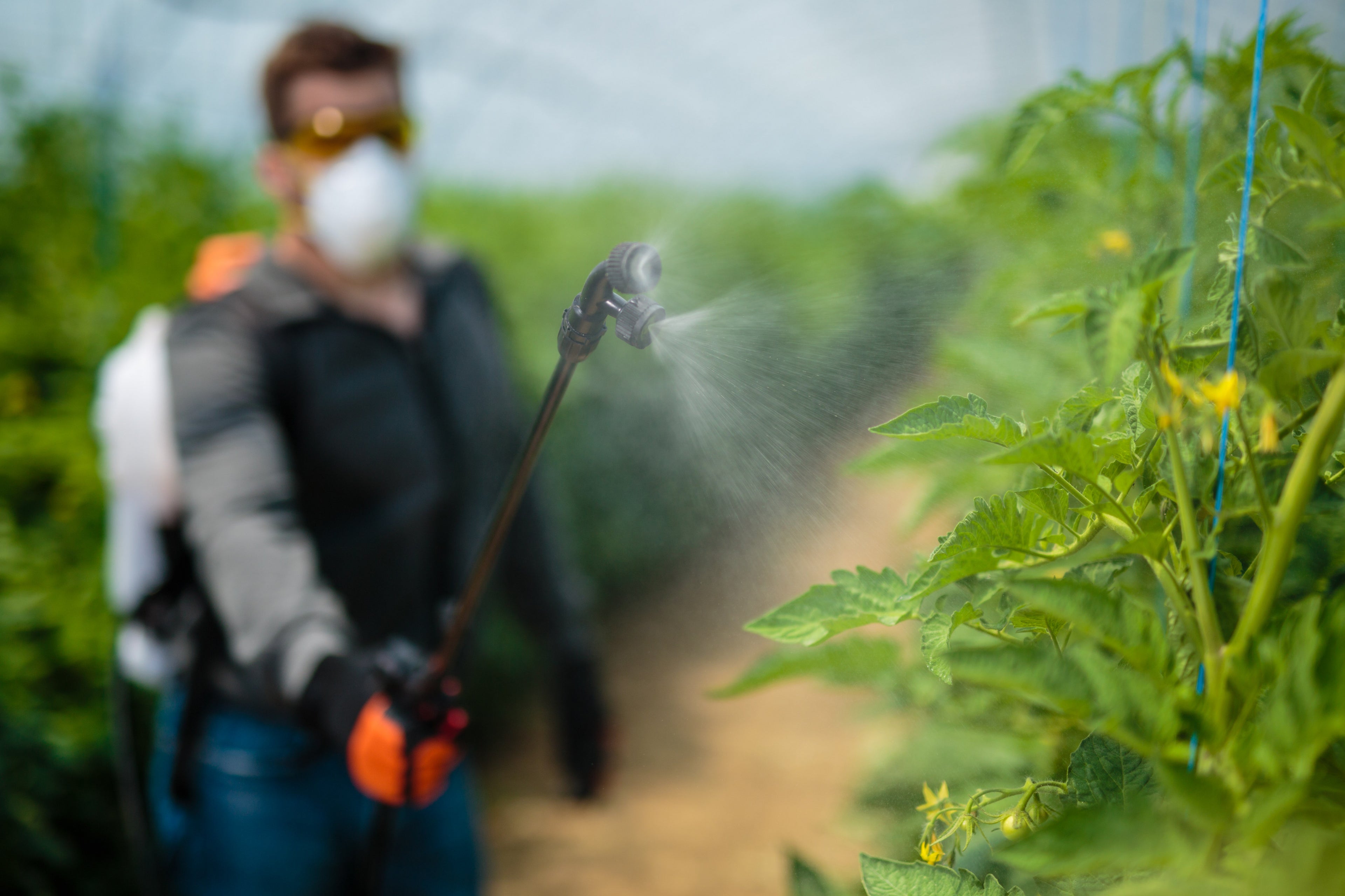 VBS 16 LI cordless backpack sprayer