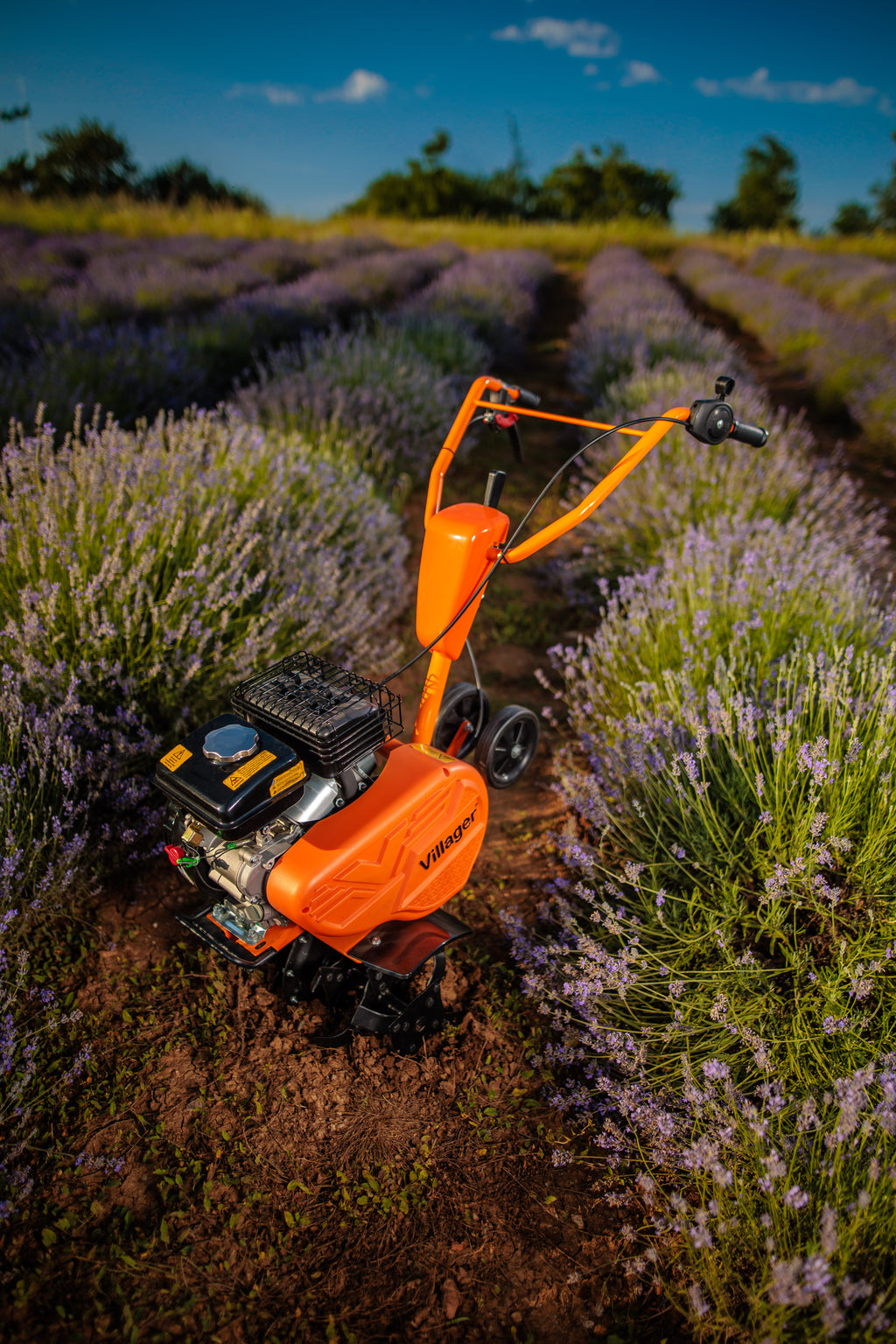 VTB 4310 V tiller