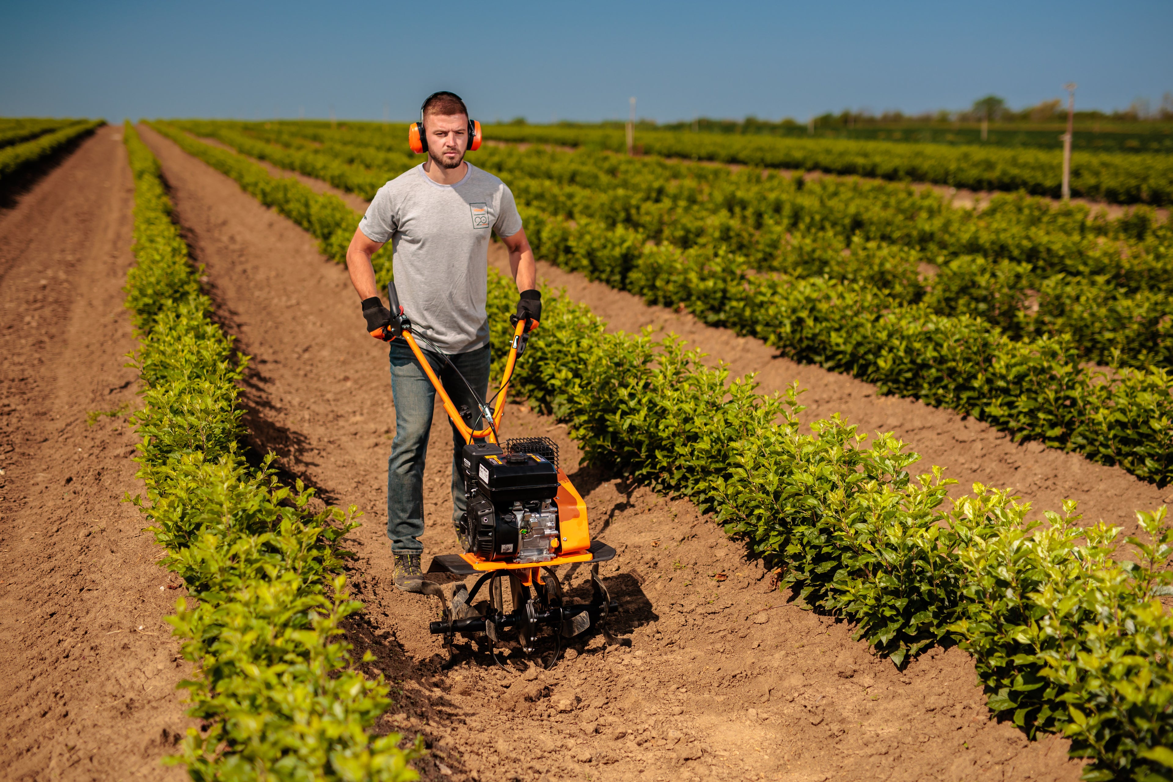 VTB 8511 V tiller