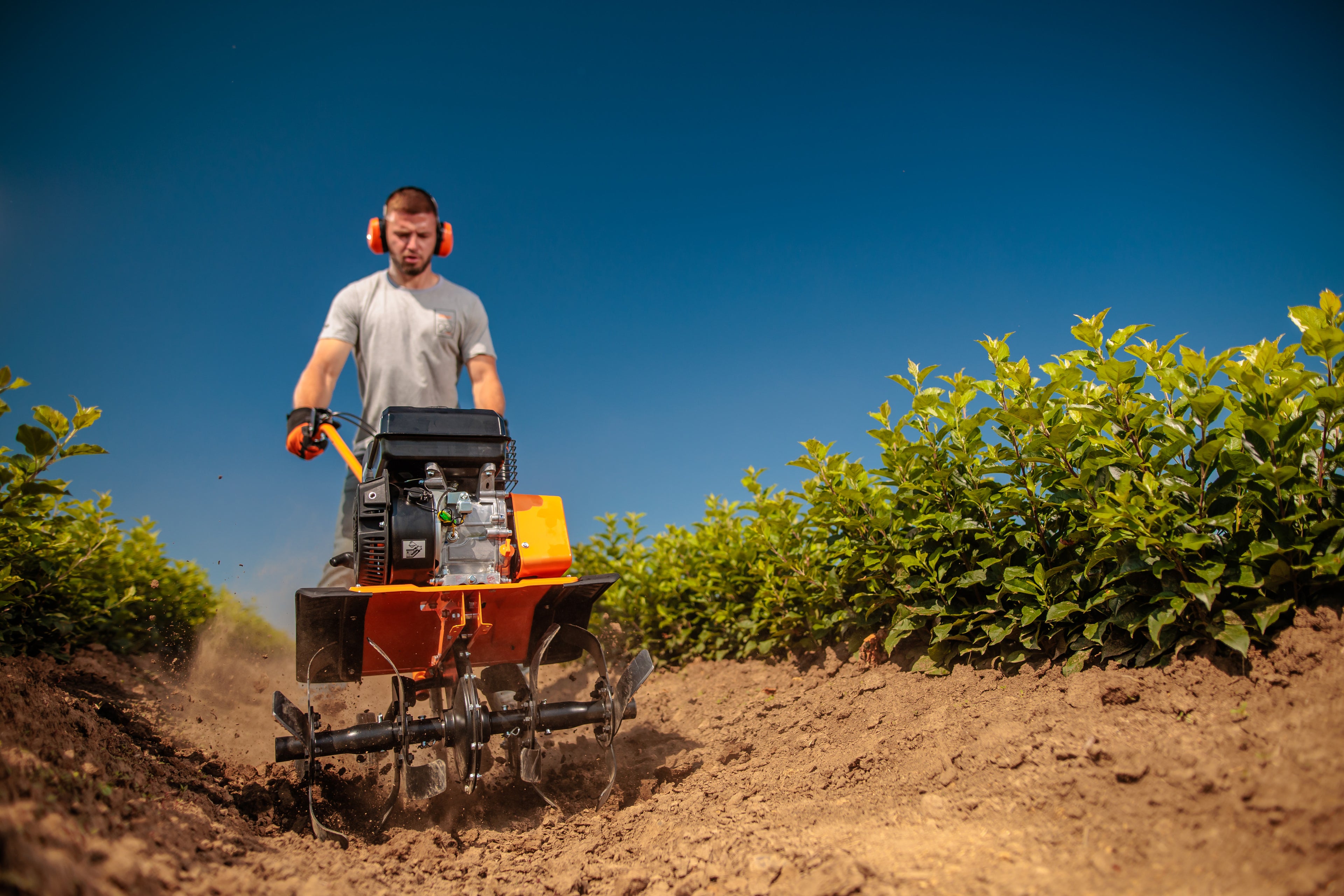 VTB 8511 V tiller
